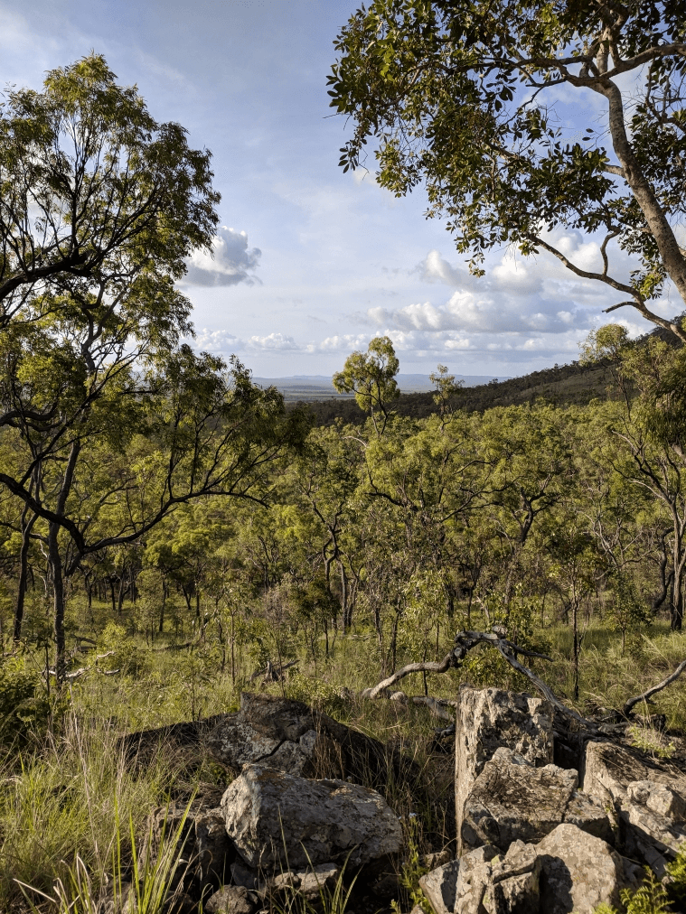 1074 Springmount Road, WALKAMIN, QLD 4872