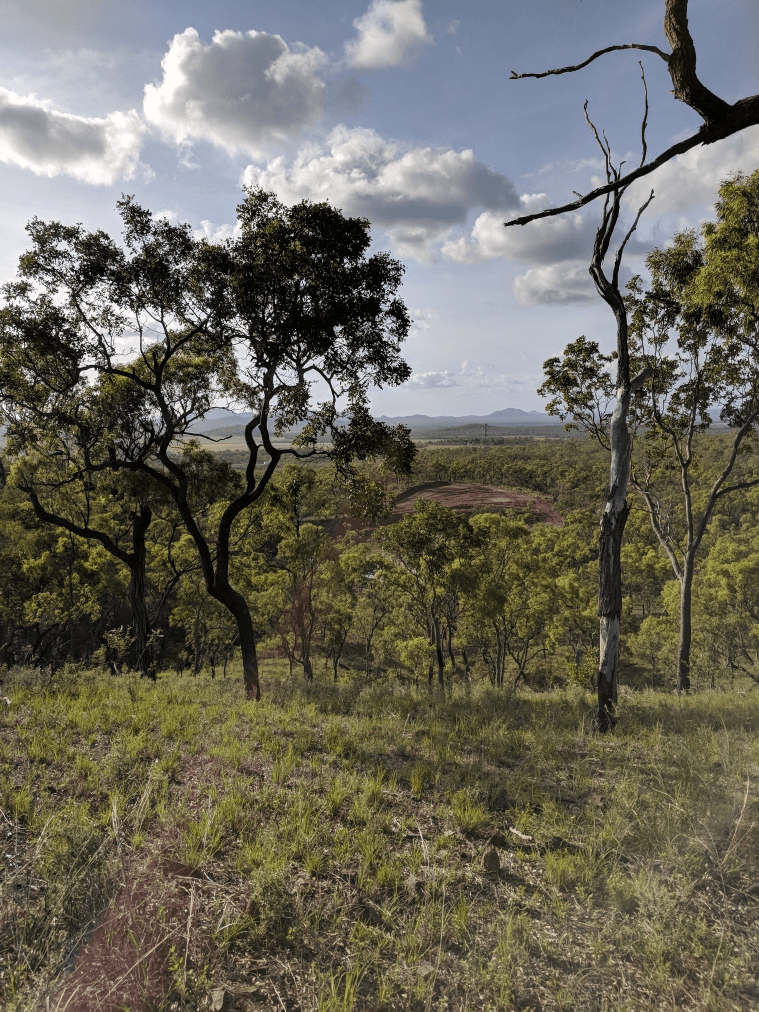 1074 Springmount Road, WALKAMIN, QLD 4872