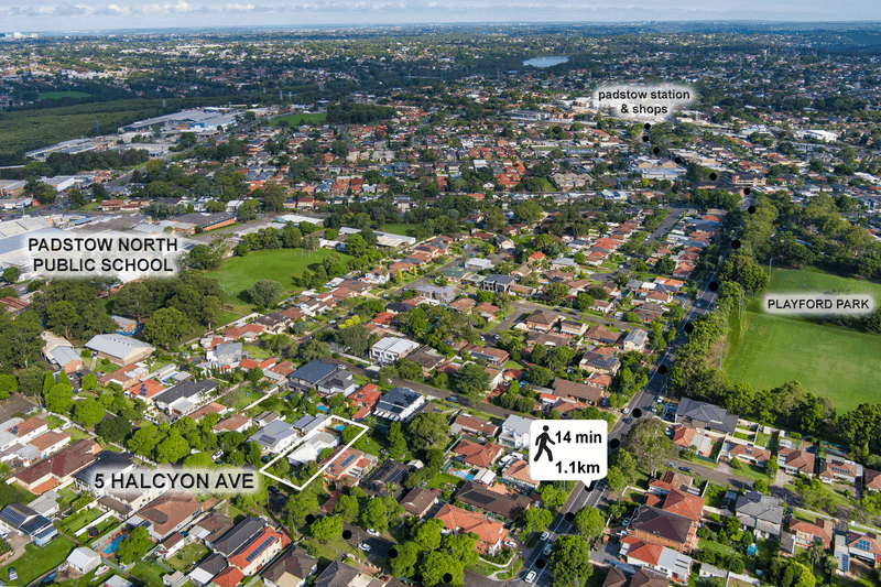 5 Halcyon Avenue, PADSTOW, NSW 2211