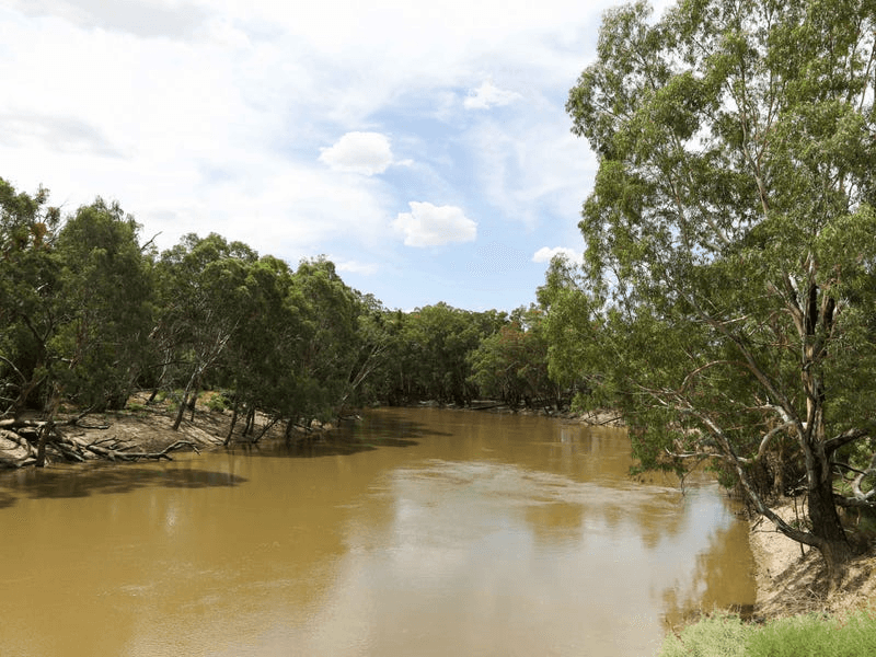 Kooba Ag Hay Aggregation, HAY, NSW 2711