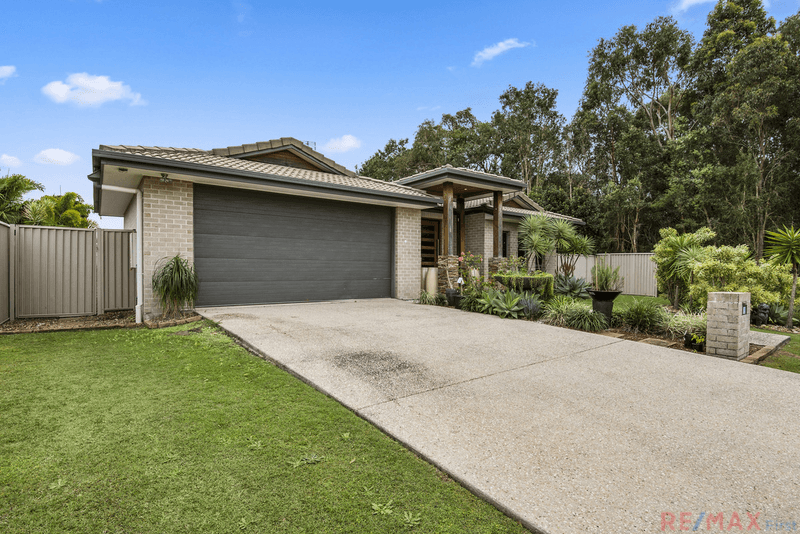 19 New Holland Drive, Pelican Waters, QLD 4551