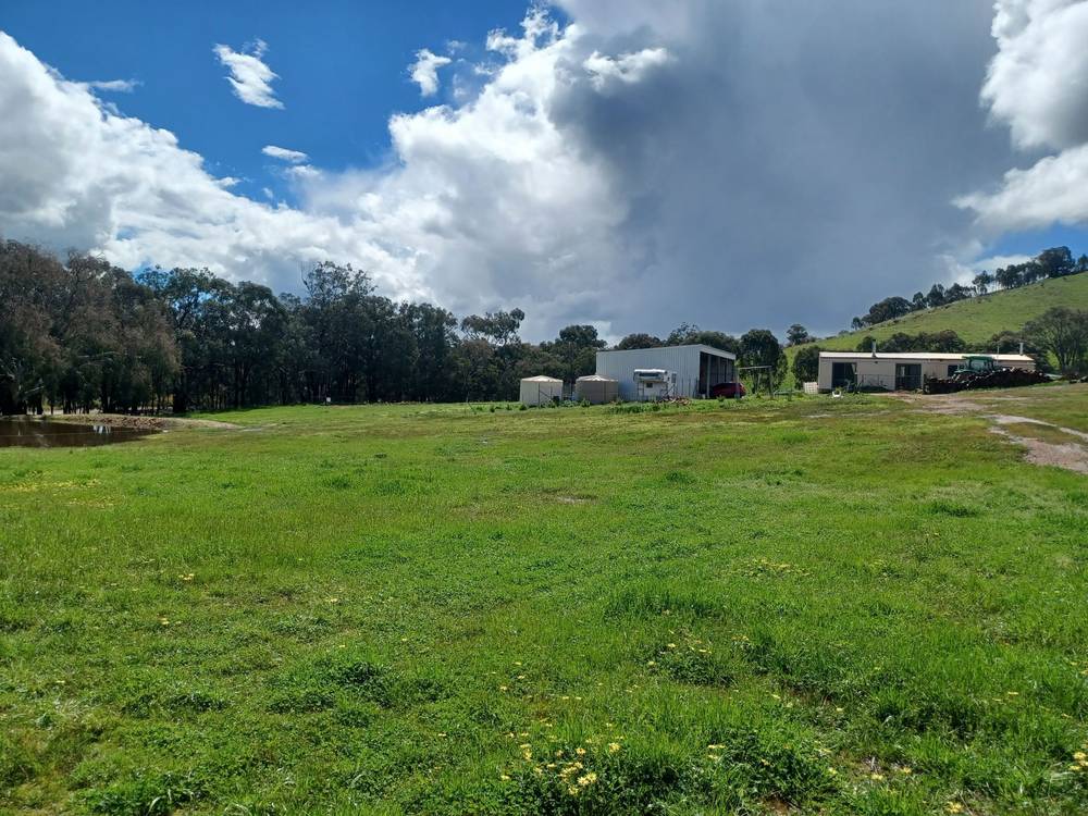 3924 Hume Highway, Tarcutta, NSW 2652