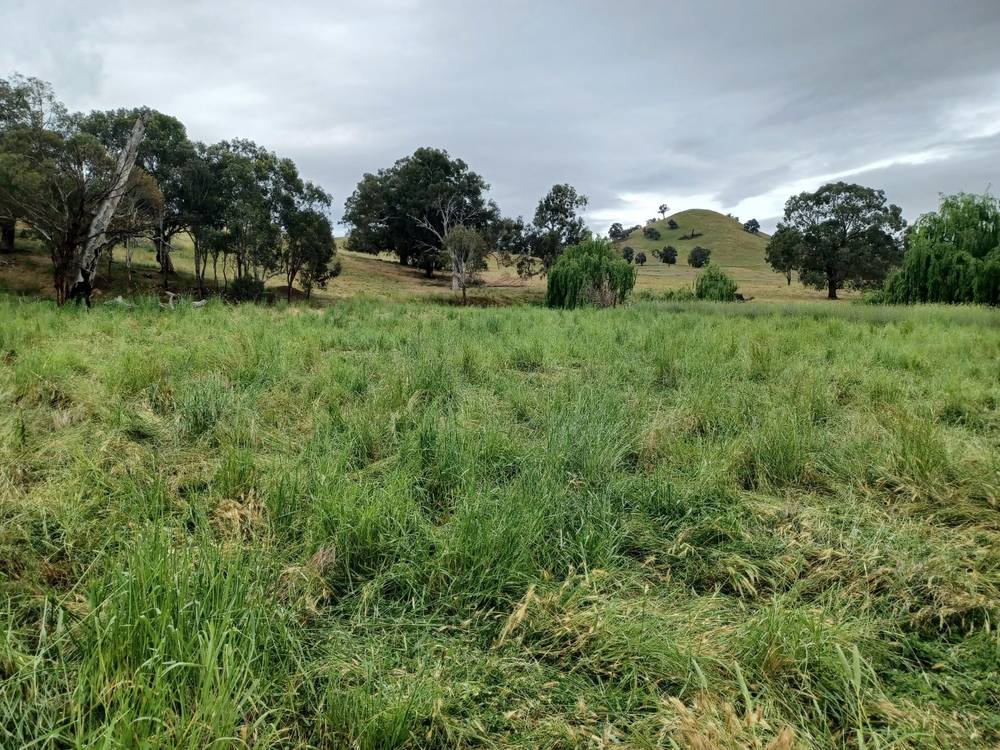 3924 Hume Highway, Tarcutta, NSW 2652