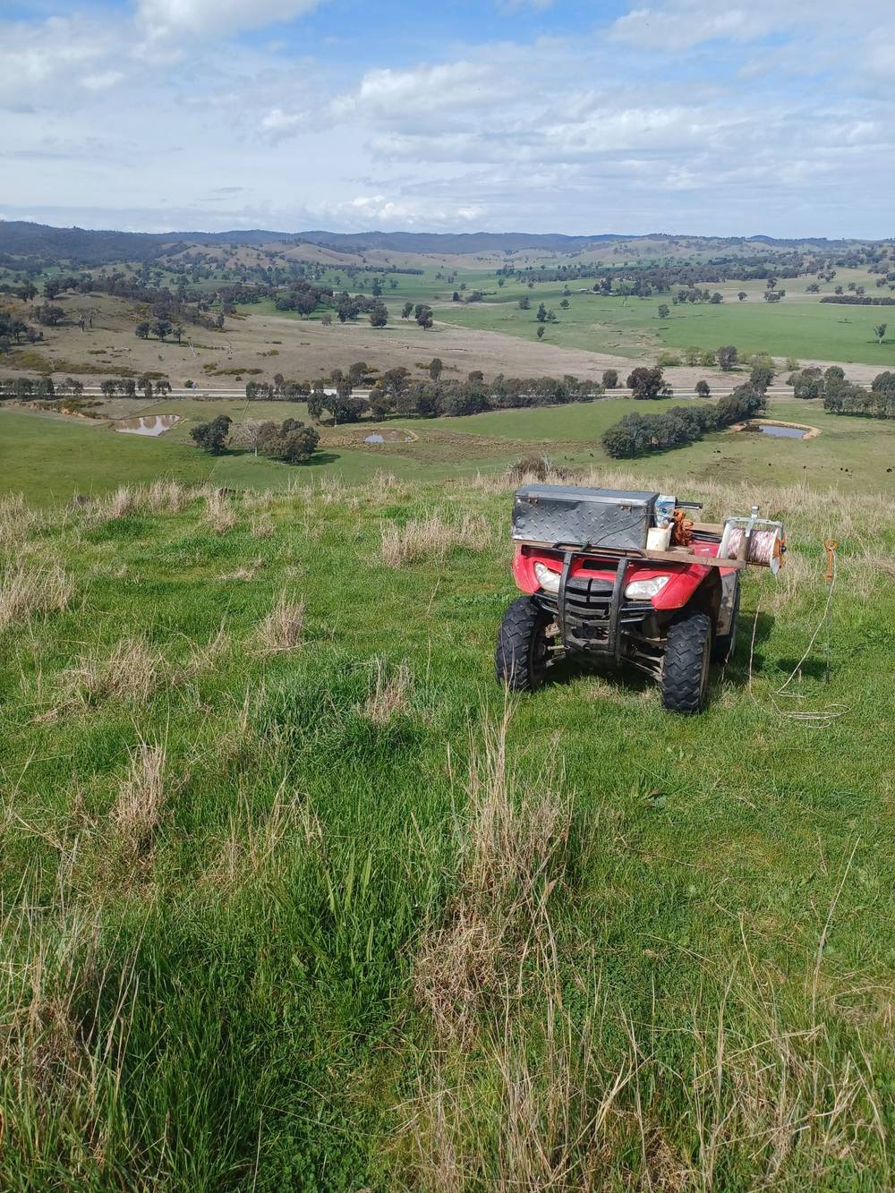 3924 Hume Highway, Tarcutta, NSW 2652