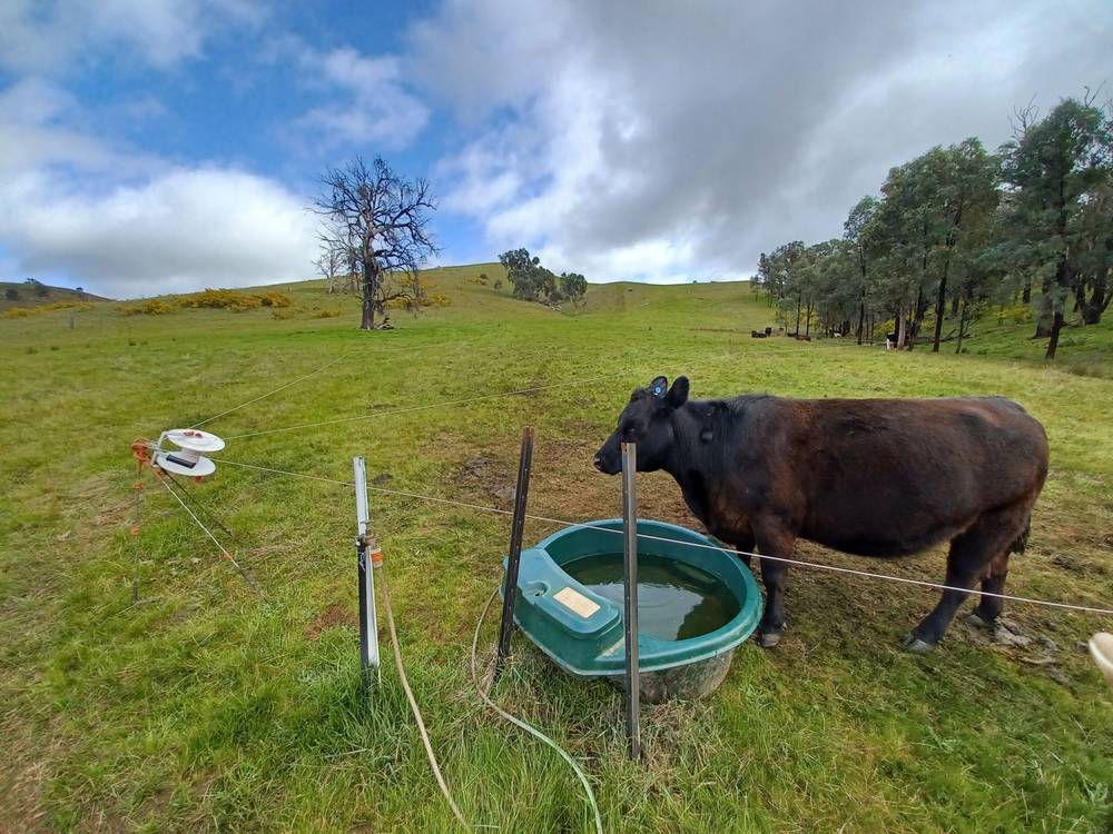 3924 Hume Highway, Tarcutta, NSW 2652