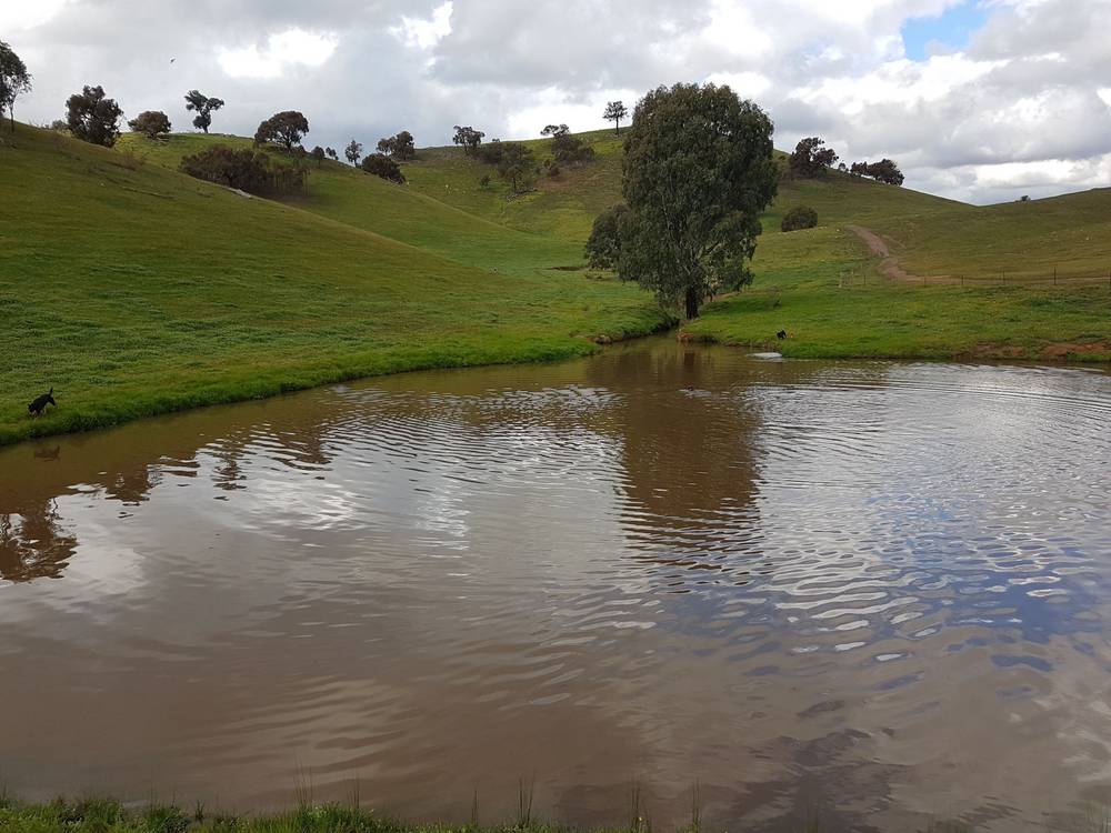 3924 Hume Highway, Tarcutta, NSW 2652