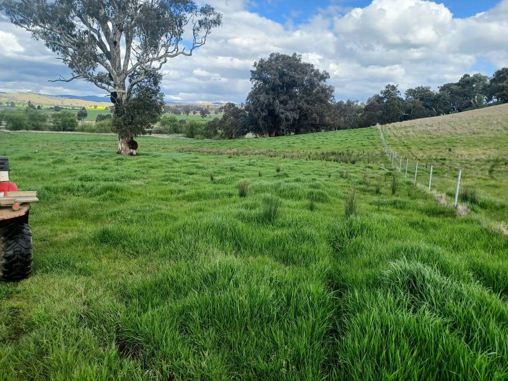 3924 Hume Highway, Tarcutta, NSW 2652