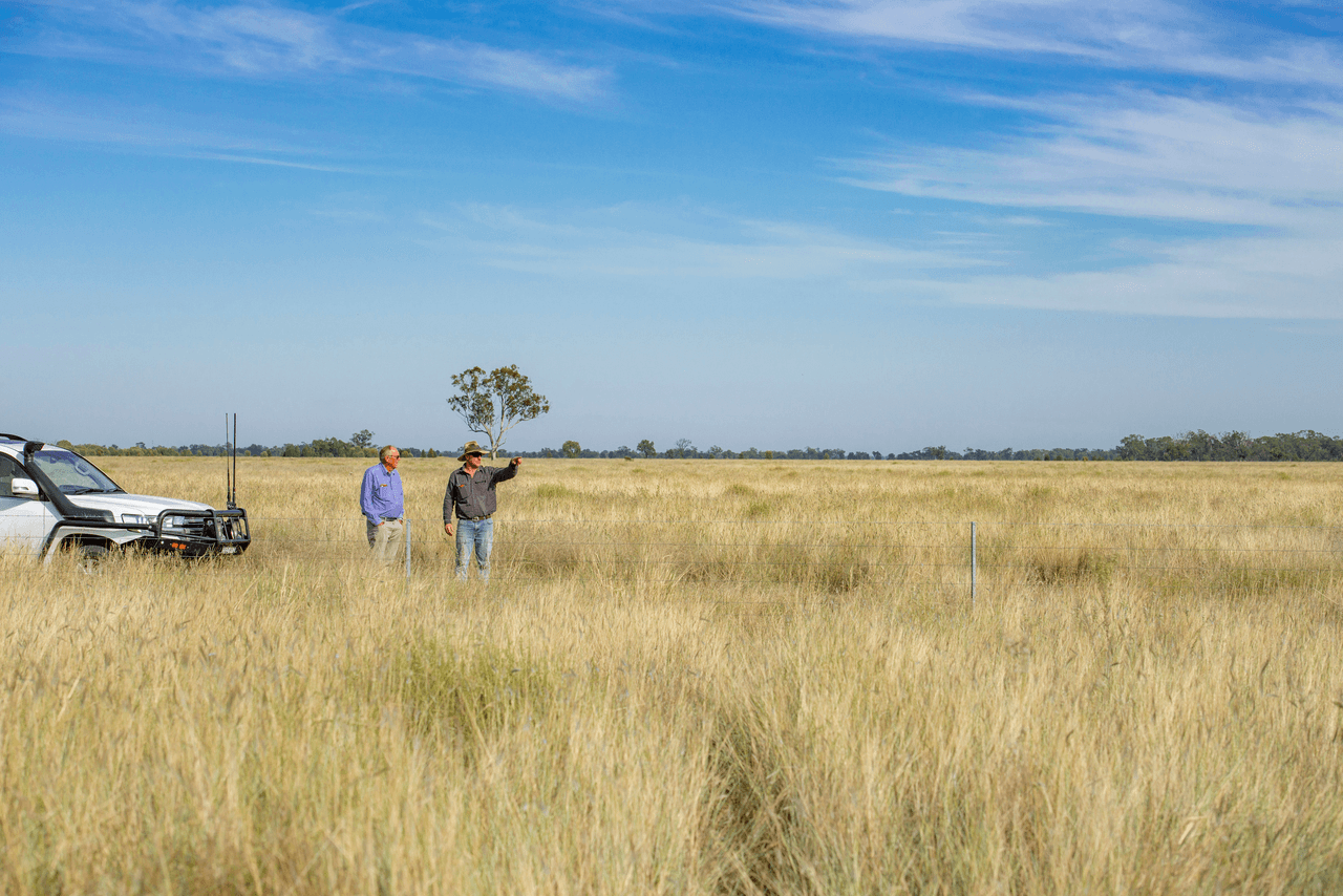 390 THARA Road, COONAMBLE, NSW 2829