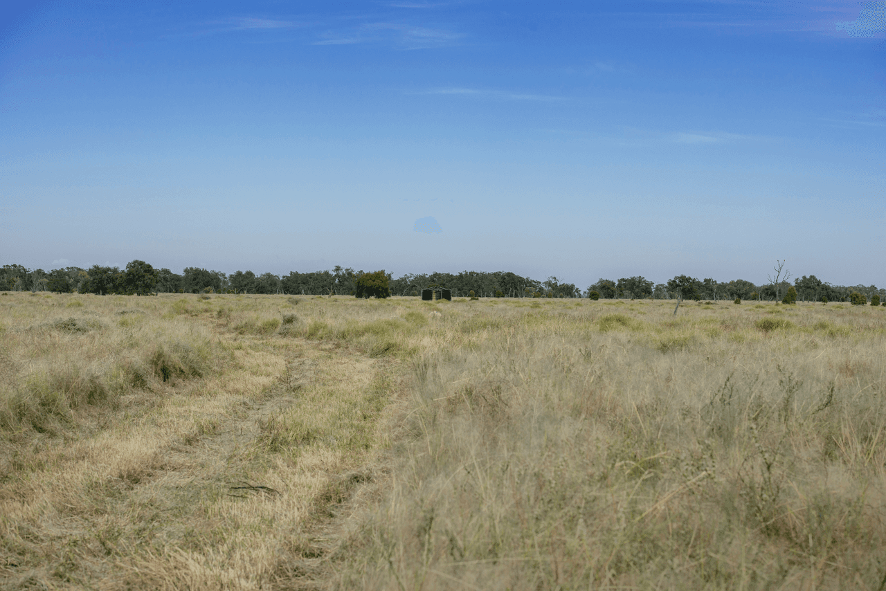 390 THARA Road, COONAMBLE, NSW 2829