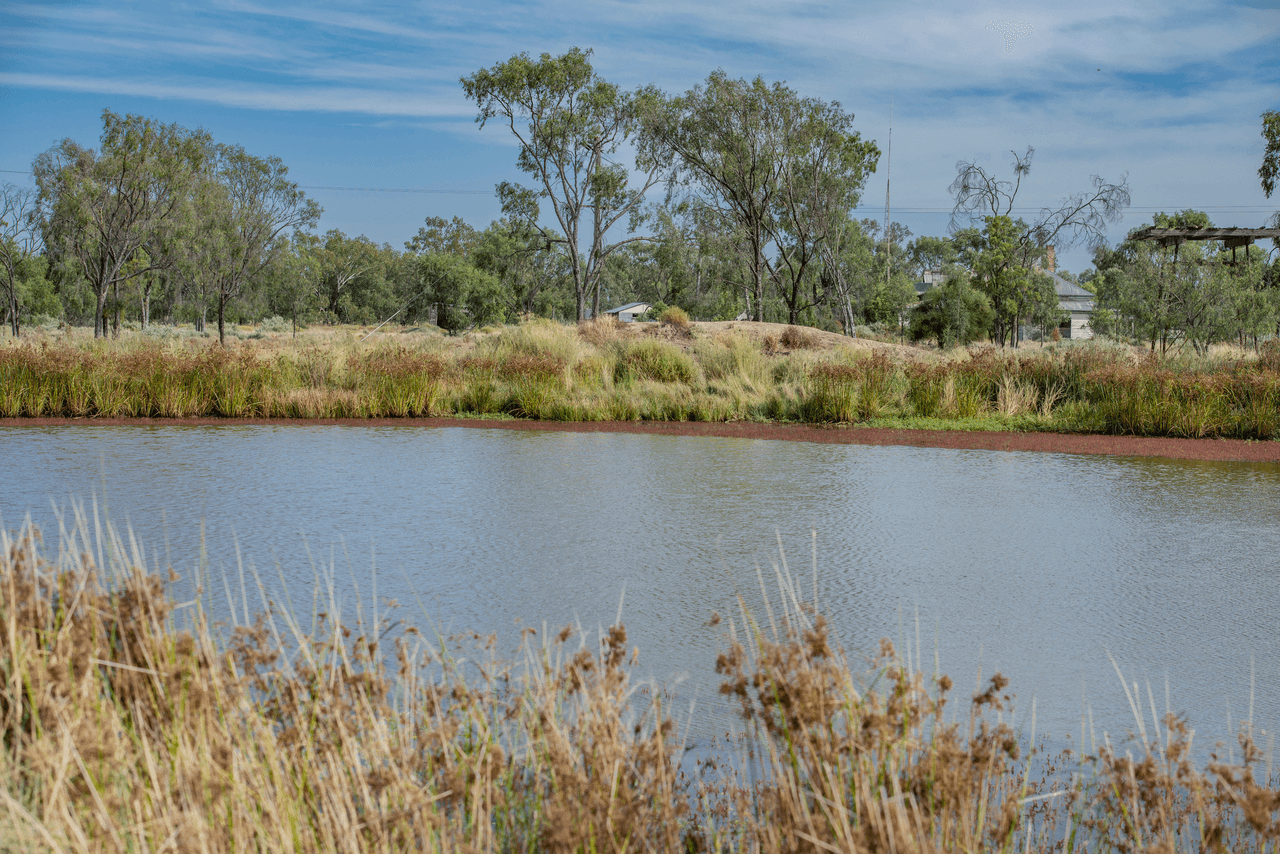 390 THARA Road, COONAMBLE, NSW 2829