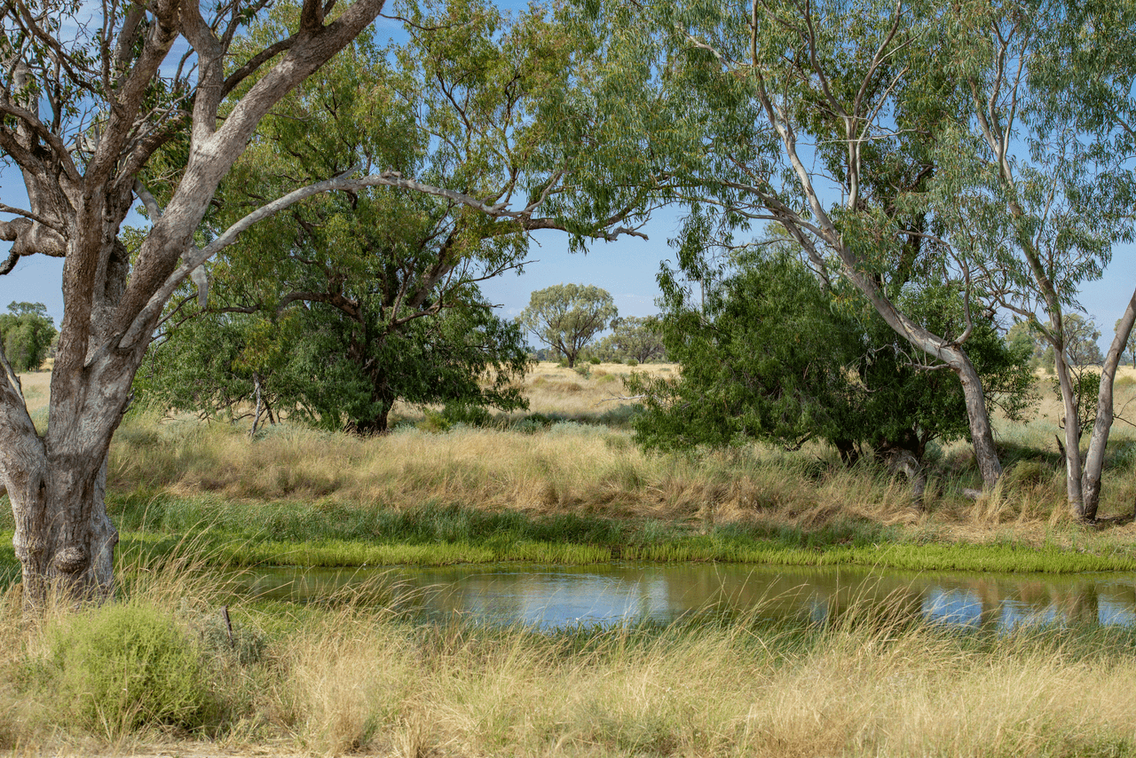 390 THARA Road, COONAMBLE, NSW 2829