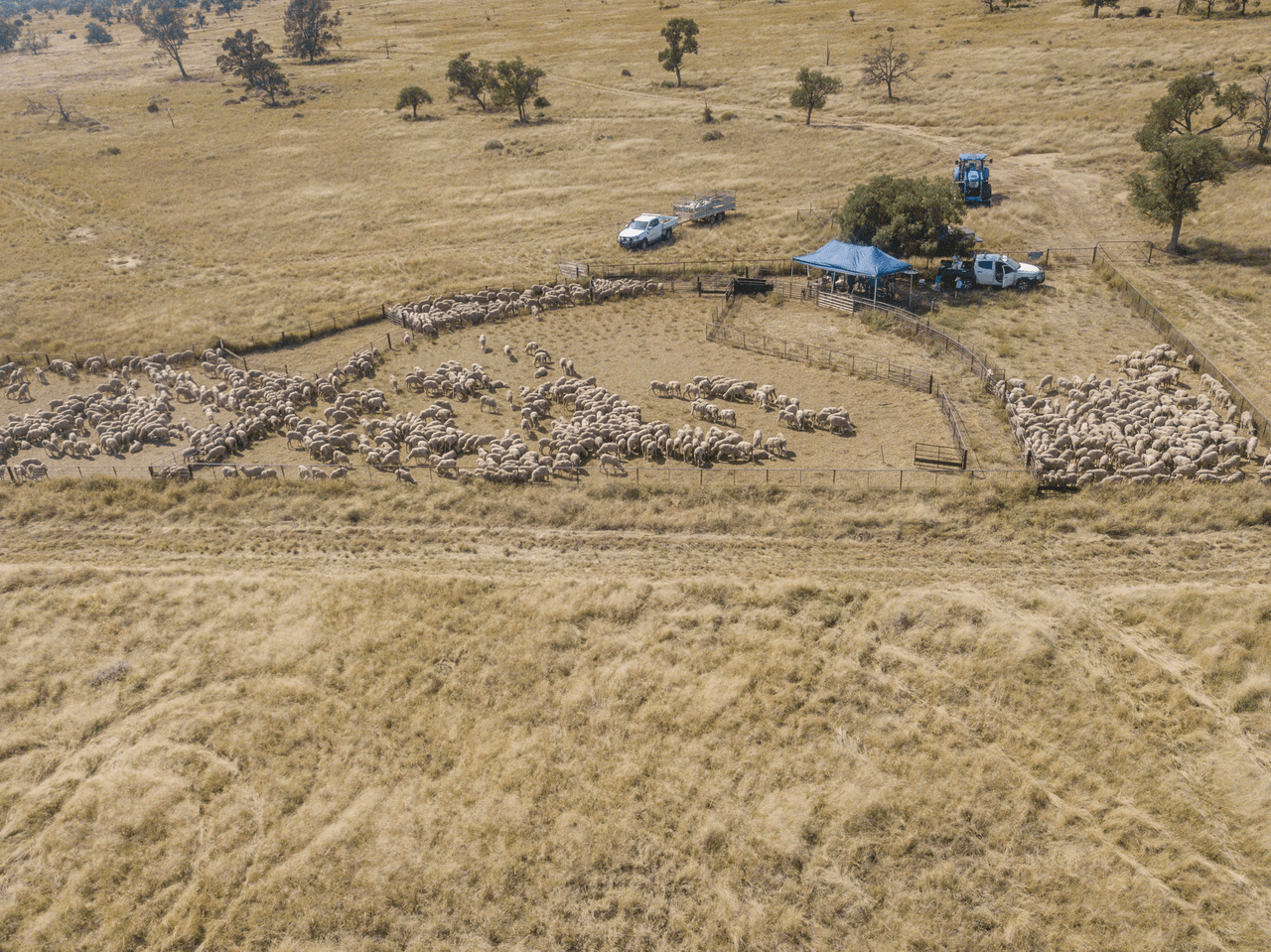 390 THARA Road, COONAMBLE, NSW 2829