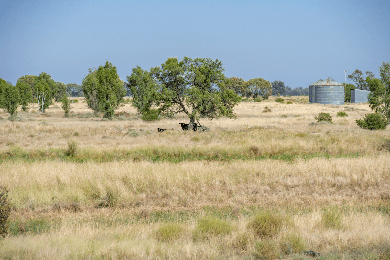 390 THARA Road, COONAMBLE, NSW 2829