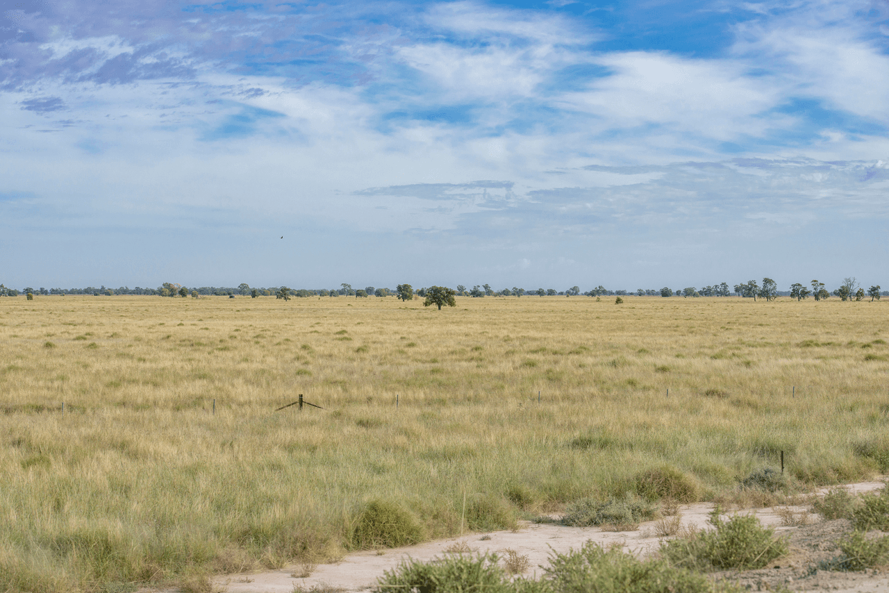 390 THARA Road, COONAMBLE, NSW 2829