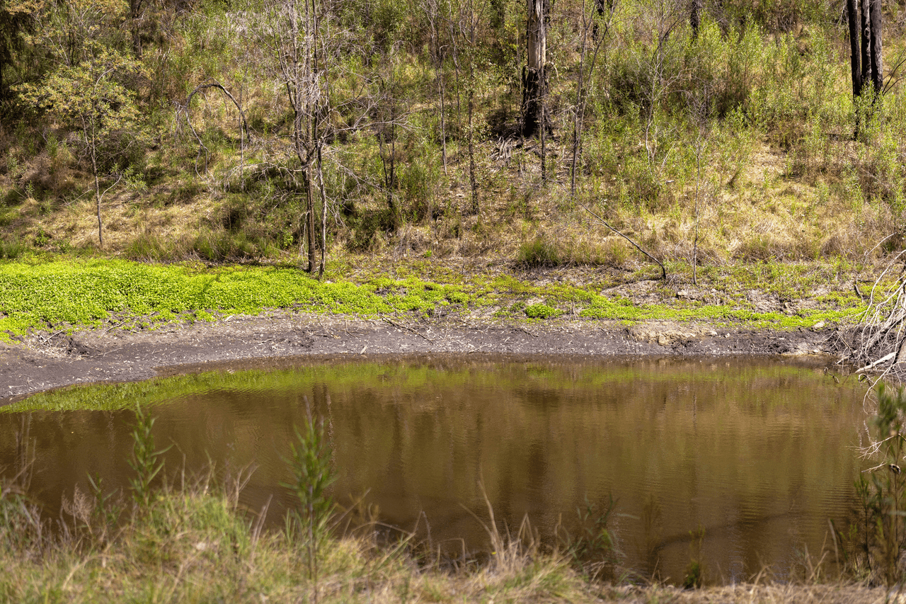 Lot 45/McPhersons Country Estates, Enfield Range Road, CELLS RIVER, NSW 2424