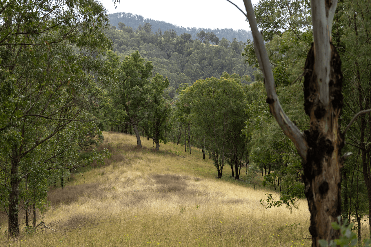 Lot 45/McPhersons Country Estates, Enfield Range Road, CELLS RIVER, NSW 2424