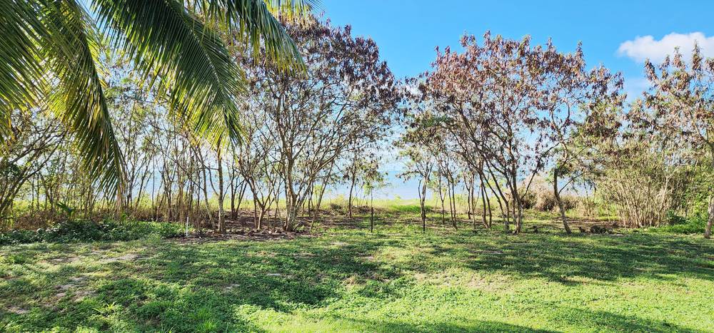 43 Keith Williams Dr, Cardwell, QLD 4849