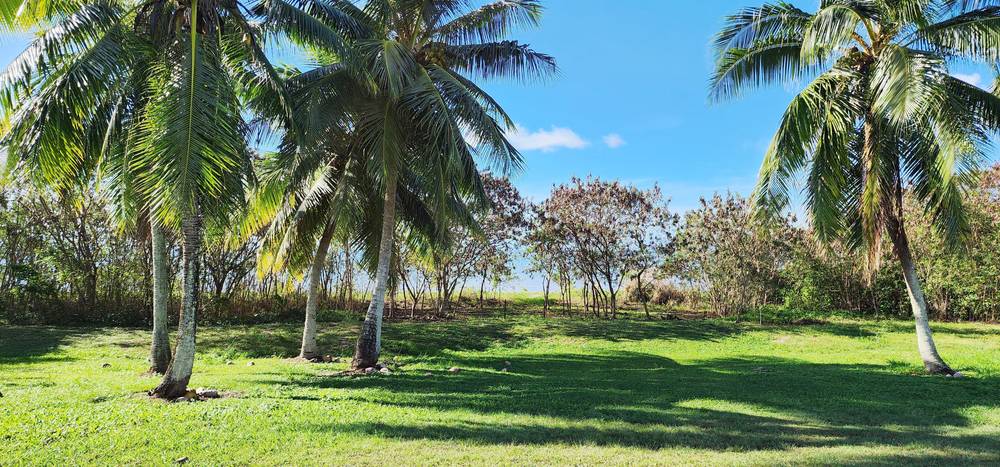43 Keith Williams Dr, Cardwell, QLD 4849