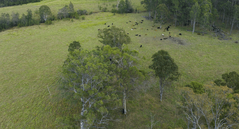 373 Big River Way Glenugie, GRAFTON, NSW 2460