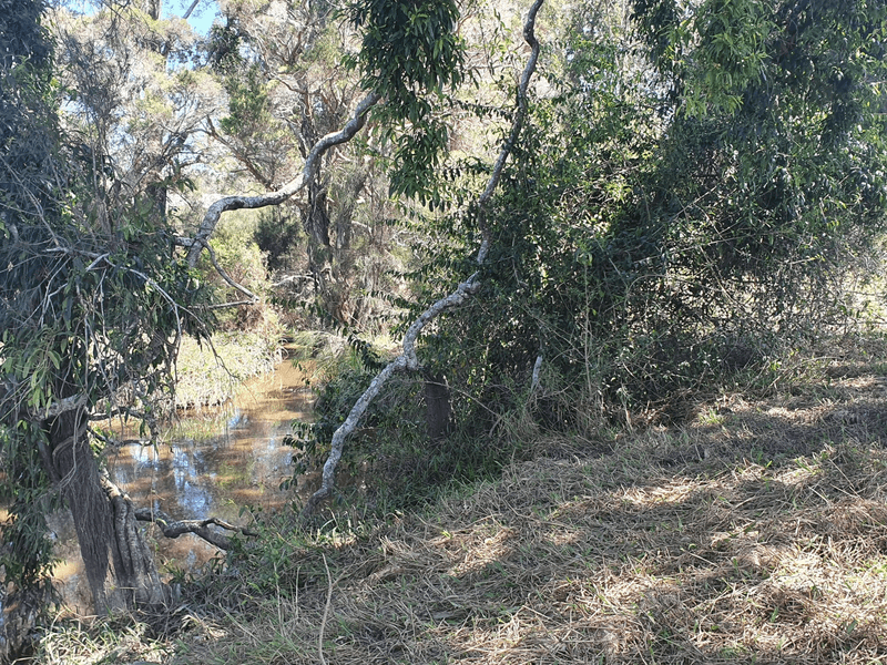373 Big River Way Glenugie, GRAFTON, NSW 2460