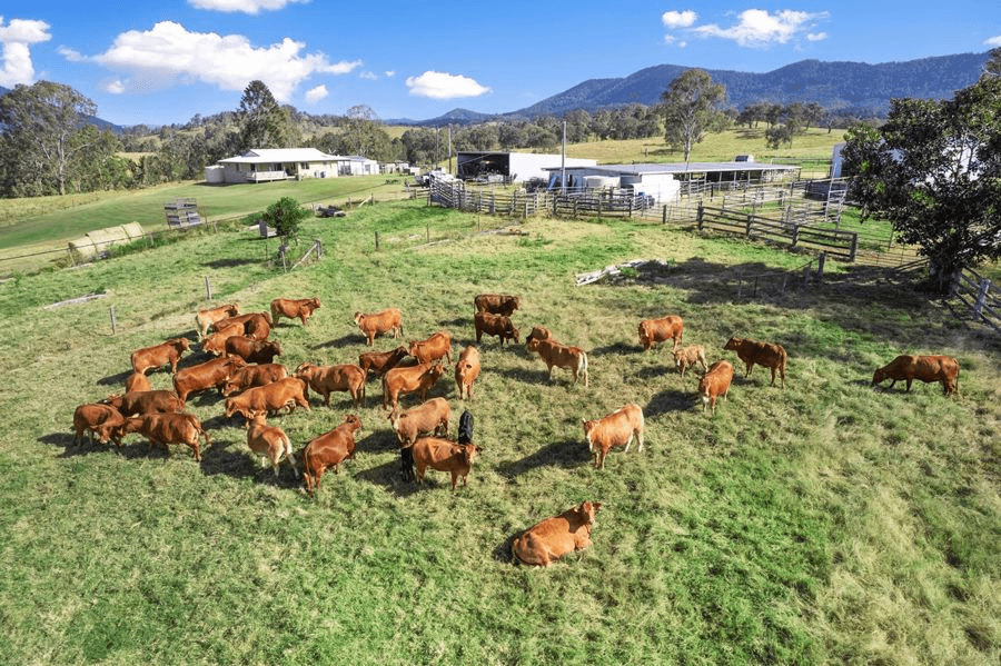 312 Glastonbury Creek Road, GLASTONBURY, QLD 4570