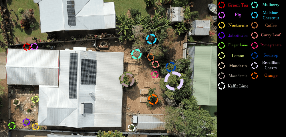 67 Bathurst Drive, Bentley Park, QLD 4869