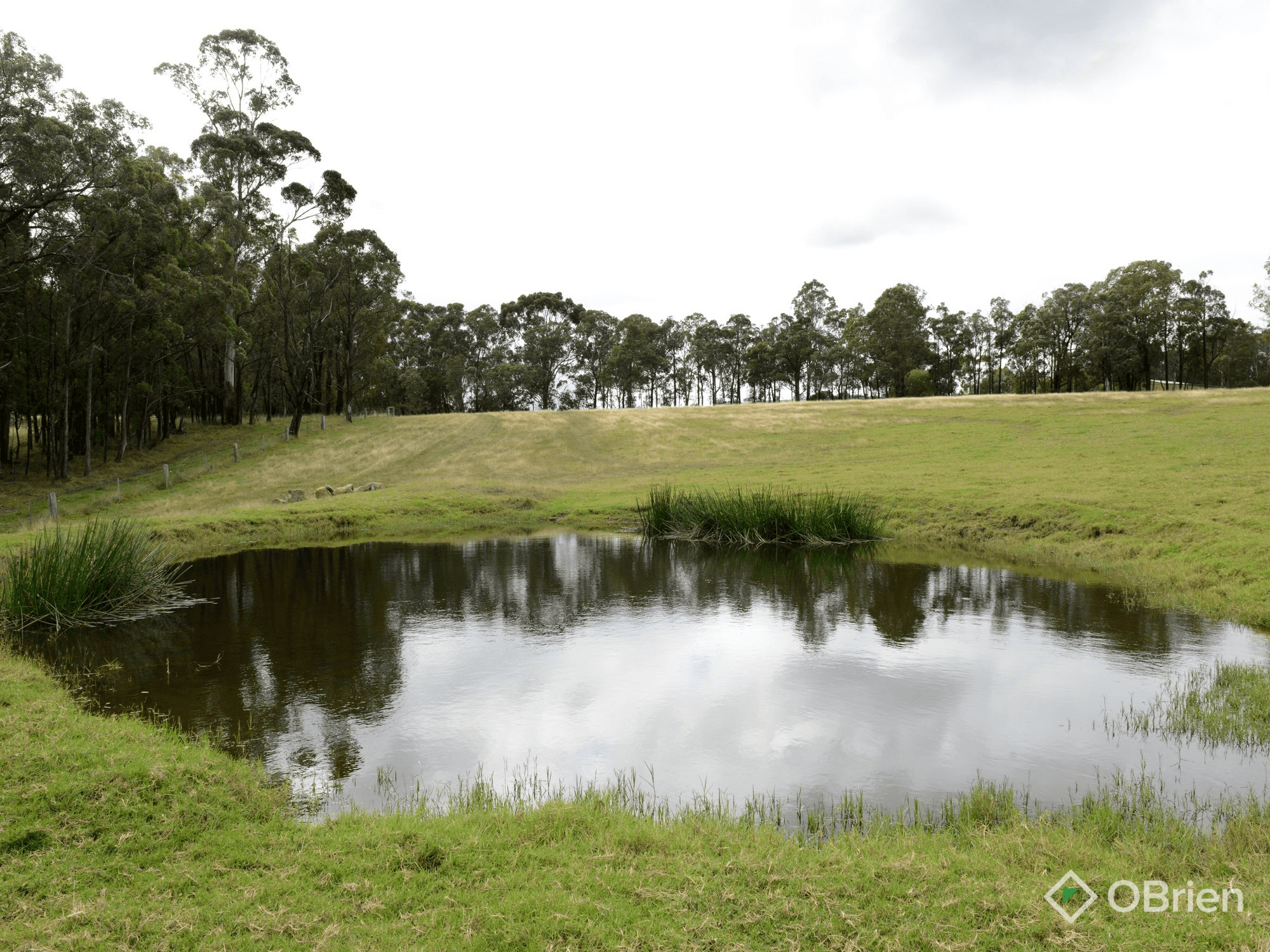 475 Boggy Creek Road, Flaggy Creek, VIC 3875