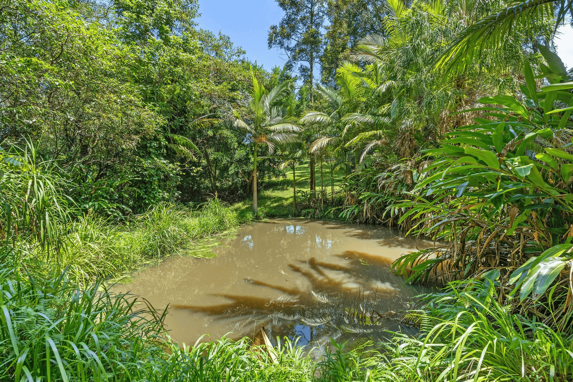 4 Gardie Place, Coolgardie, NSW 2478