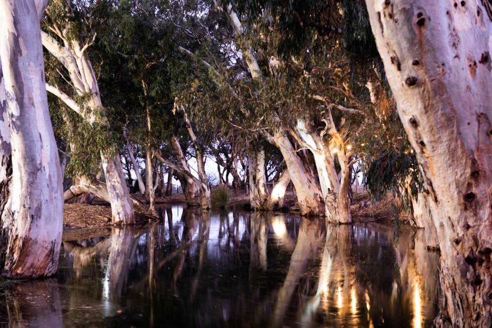 87 Gould Rd, Currency Creek, SA 5214