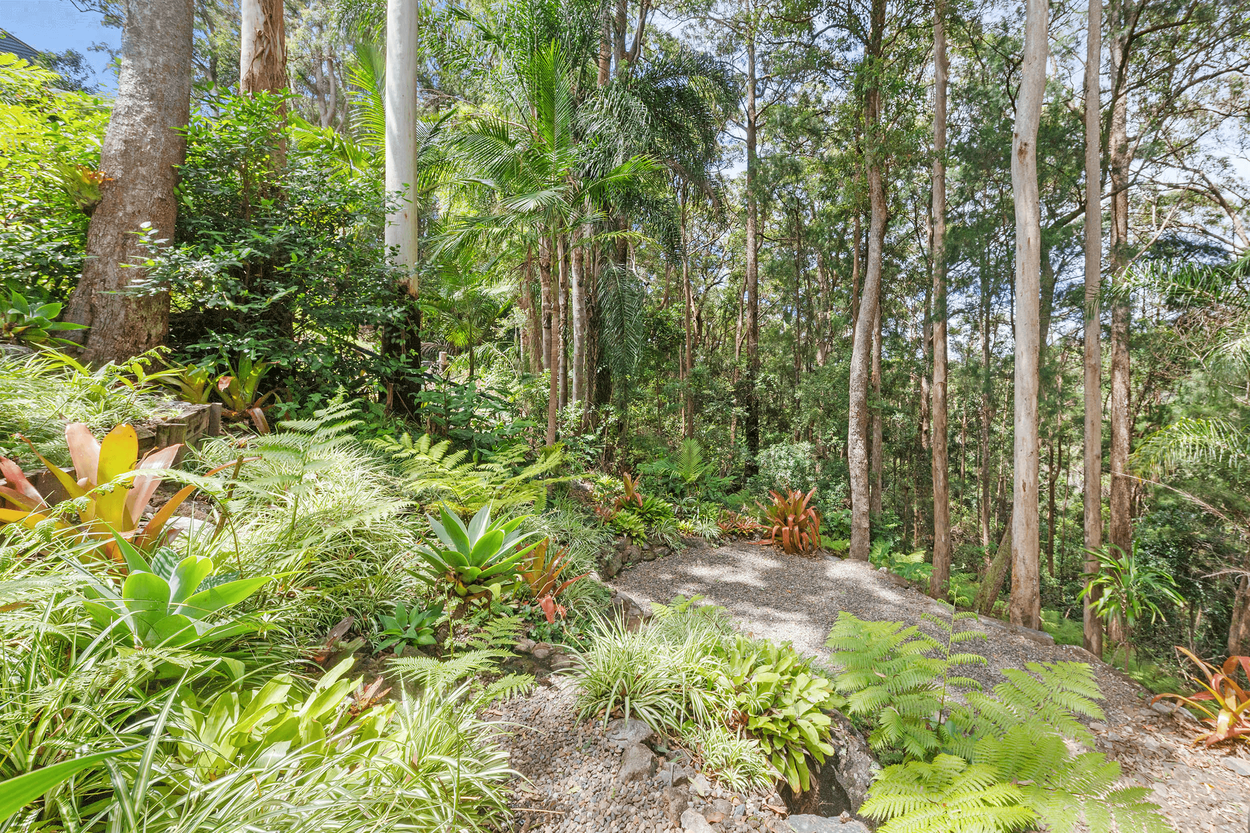 41 Kinabalu Dr, TAMBORINE MOUNTAIN, QLD 4272