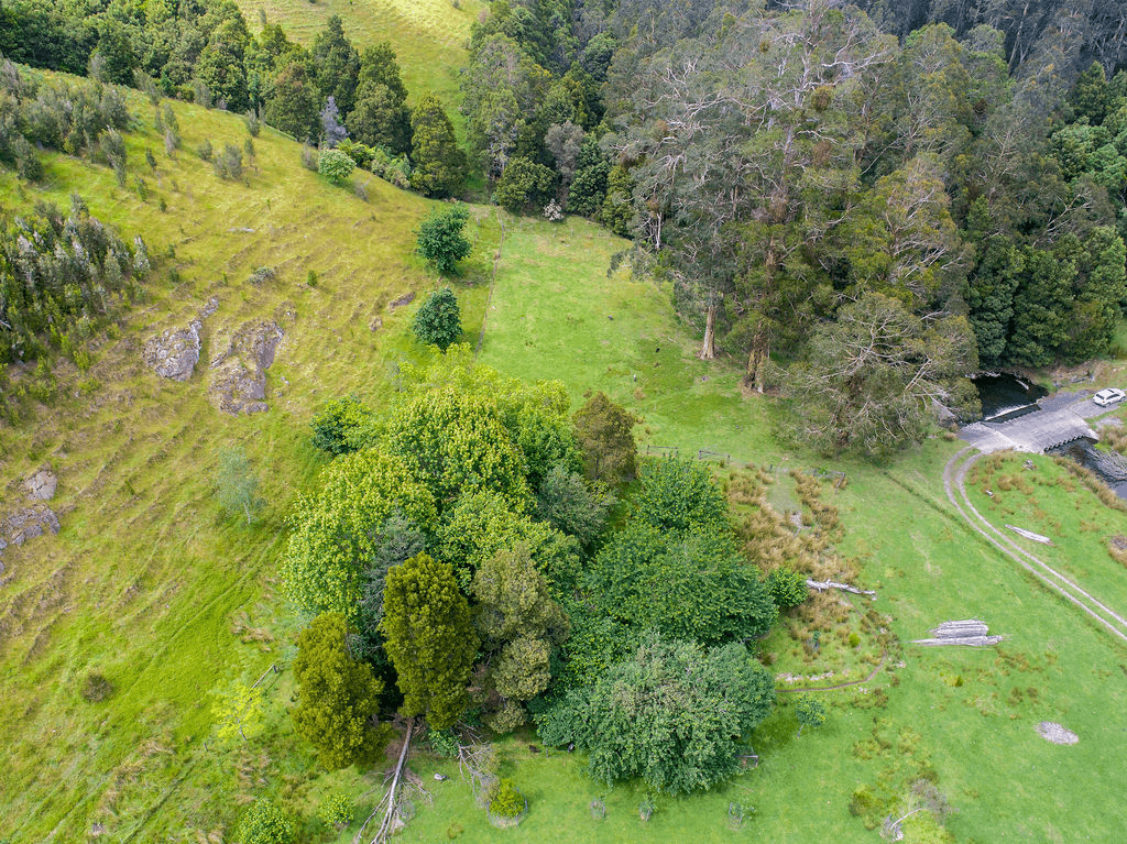 662 Barham River Road, APOLLO BAY, VIC 3233