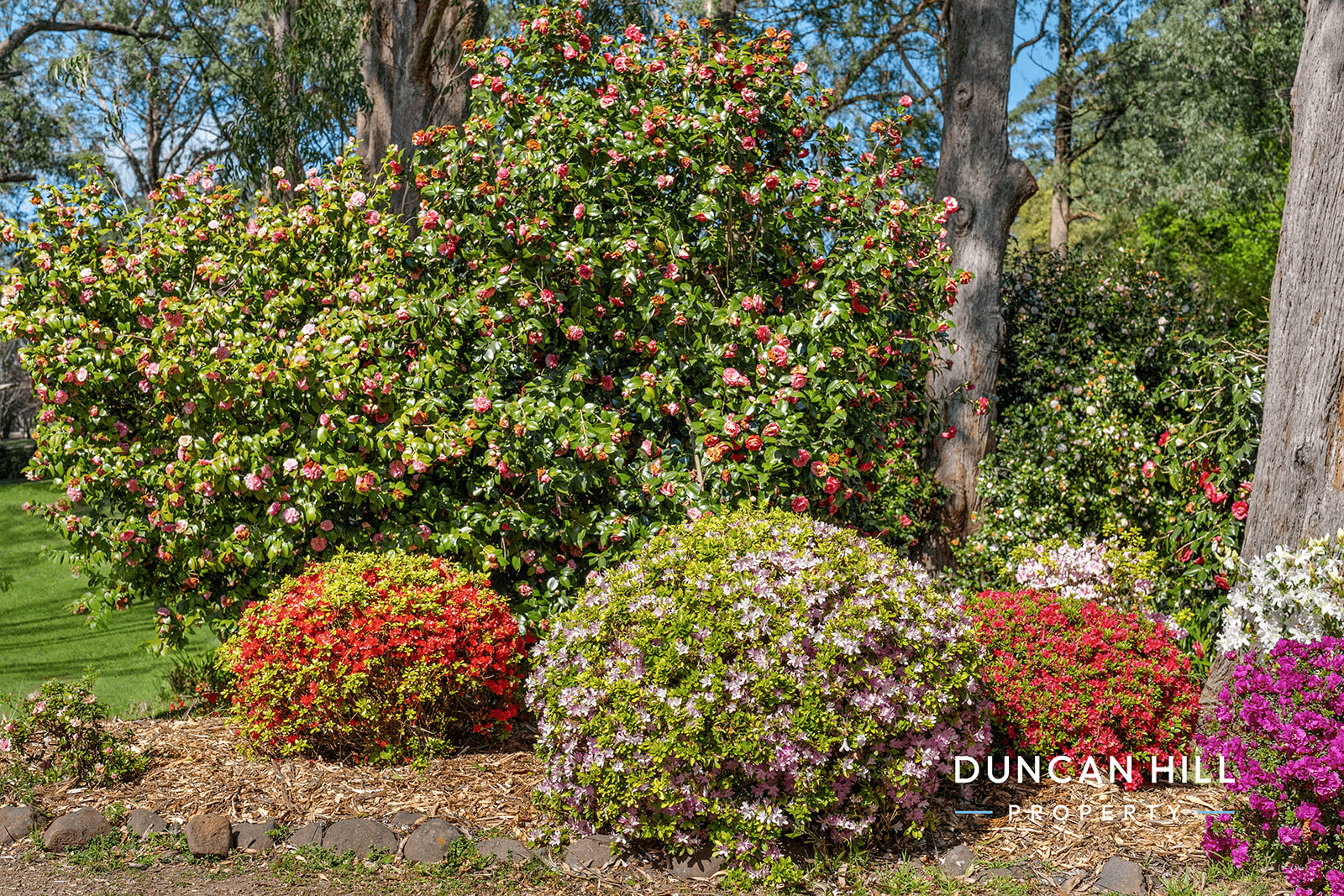 20-22 Duke Street, MITTAGONG, NSW 2575