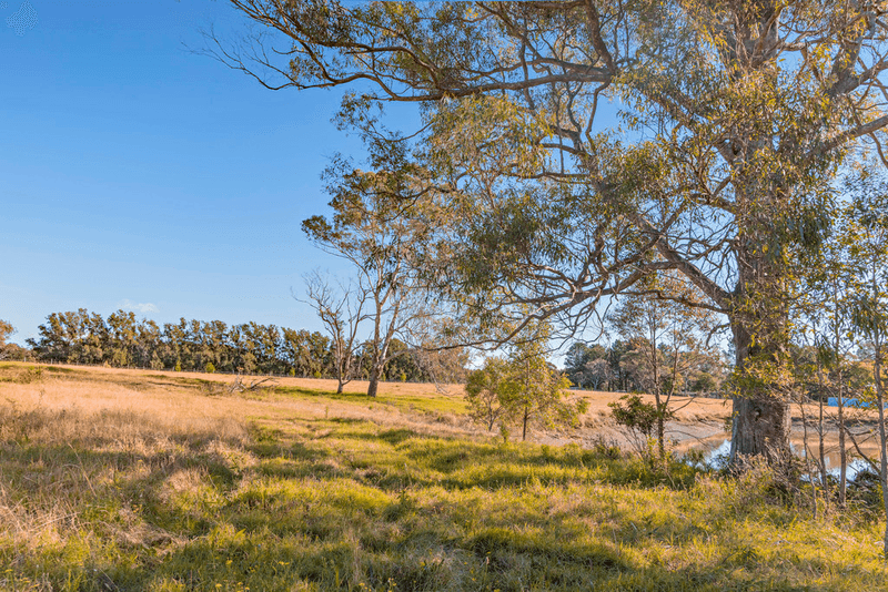 40 Nolan Road, OAKDALE, NSW 2570