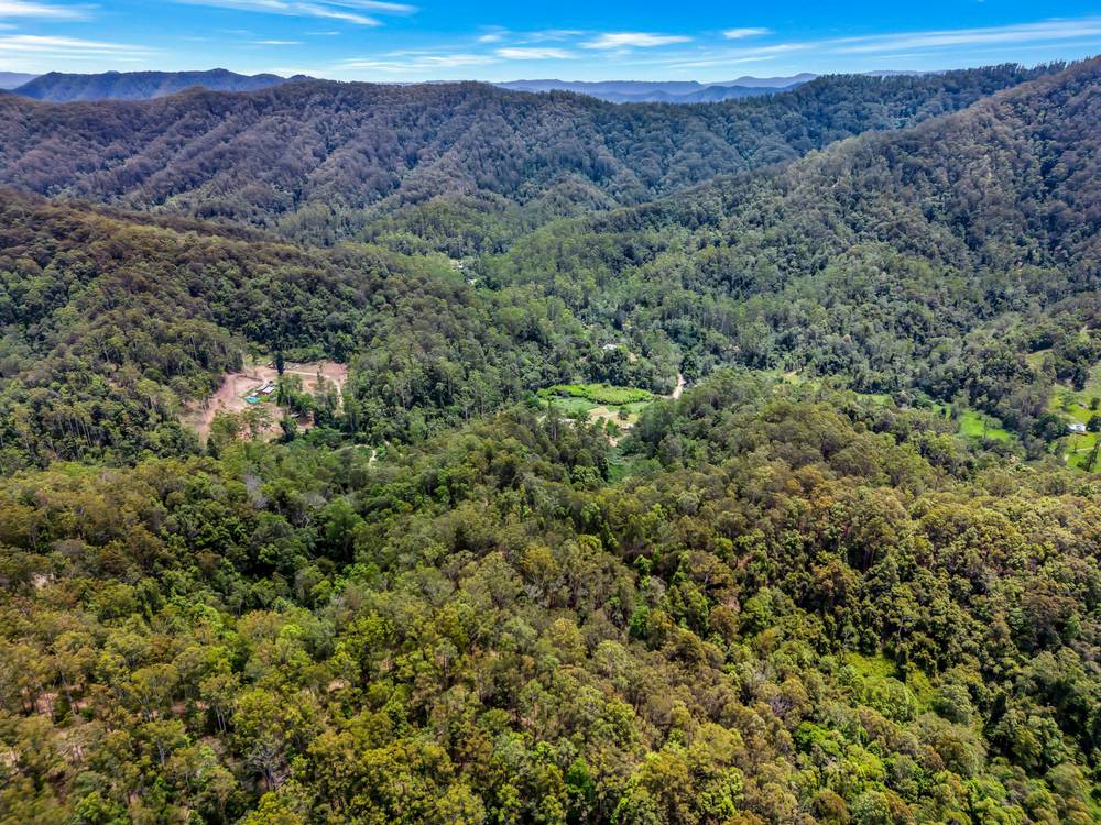 1579 Missabotti Road, Missabotti, NSW 2449