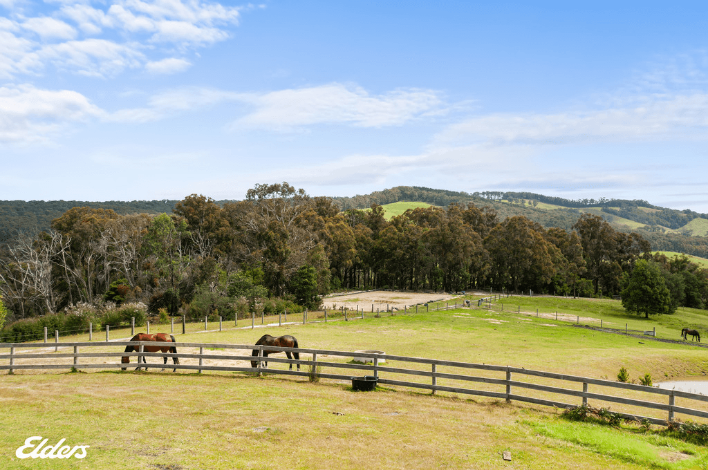 128 Baxters Road, MACKS CREEK, VIC 3971