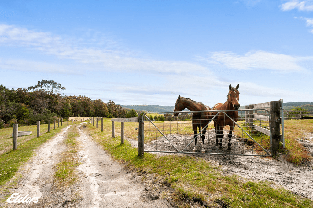 128 Baxters Road, MACKS CREEK, VIC 3971