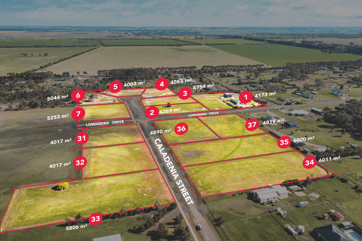 41 Caladenia Street, Teesdale, VIC 3328