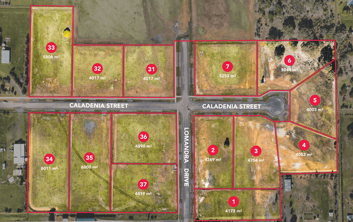 41 Caladenia Street, Teesdale, VIC 3328