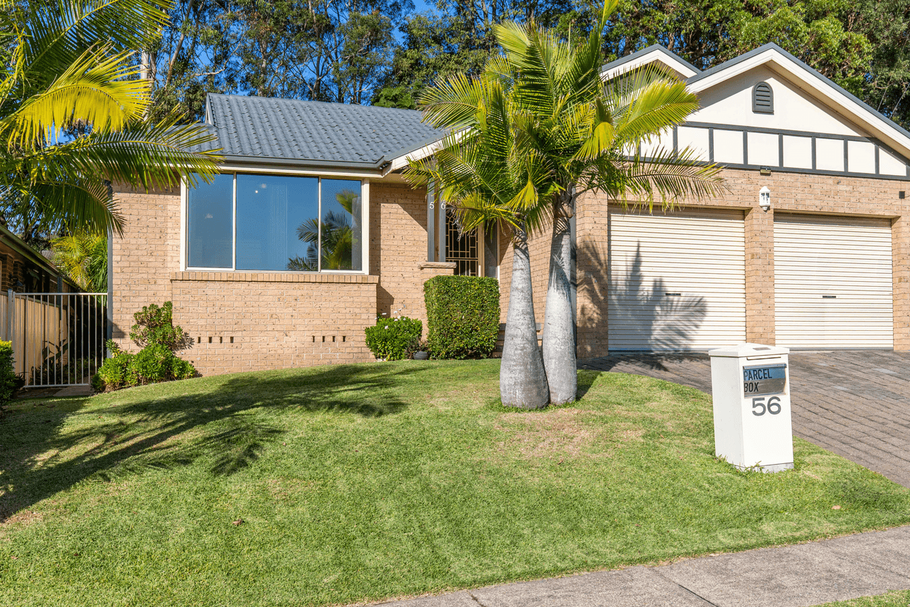 56 Drysdale Drive, LAMBTON, NSW 2299