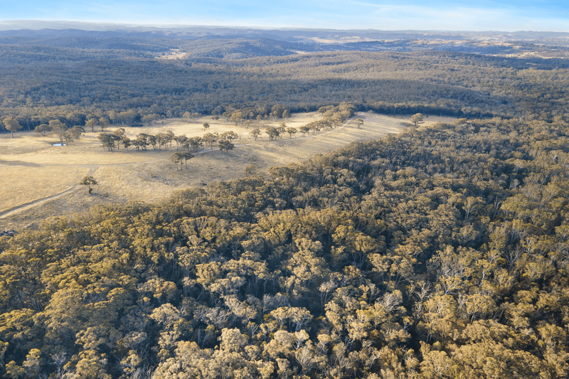 Towrang Road, BRAYTON, NSW 2579