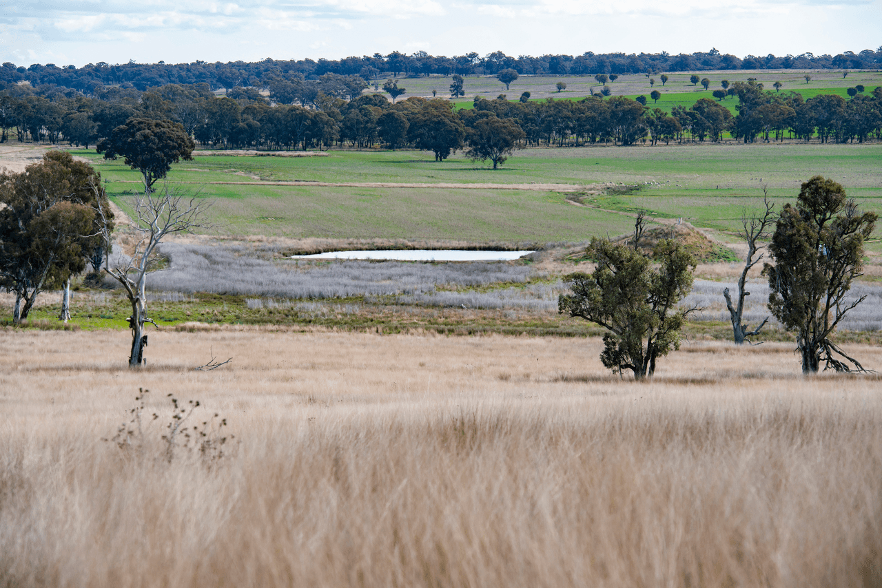 1896 Boxridge Road, PURLEWAUGH, NSW 2357