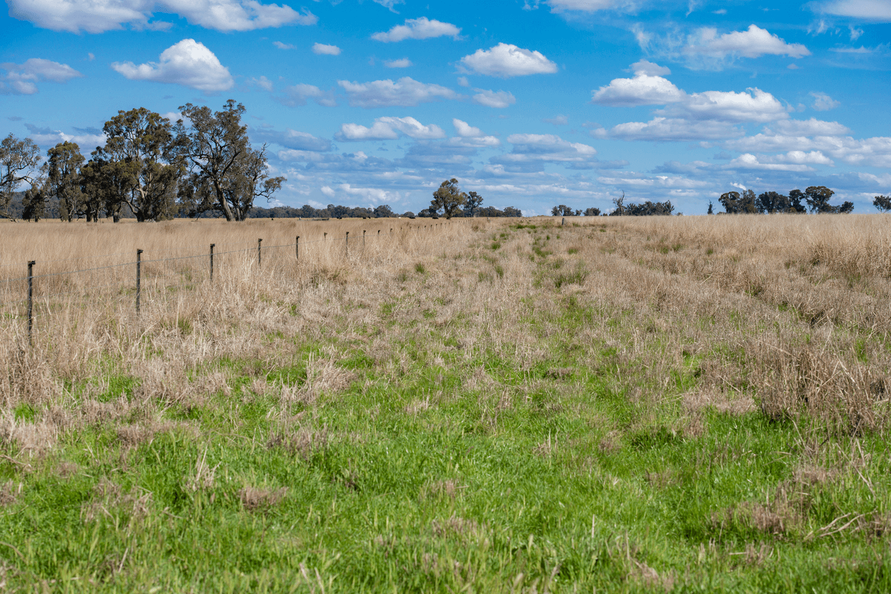 1896 Boxridge Road, PURLEWAUGH, NSW 2357