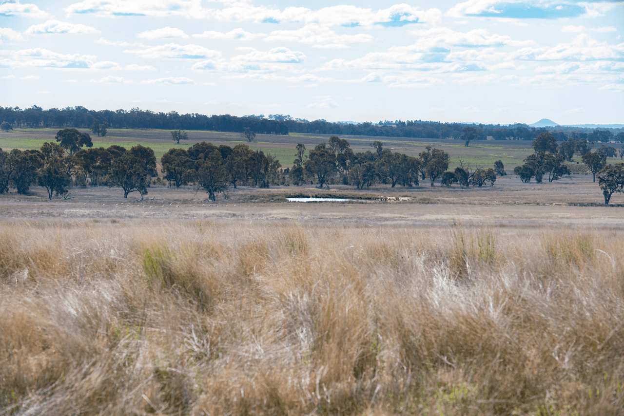 1896 Boxridge Road, PURLEWAUGH, NSW 2357