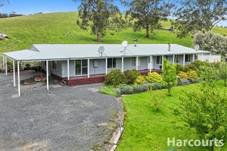 195 Beards Track, SHADY CREEK, VIC 3821