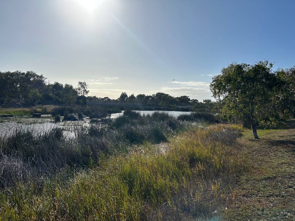 54 Eagle Road, ARMSTRONG CREEK, VIC 3217