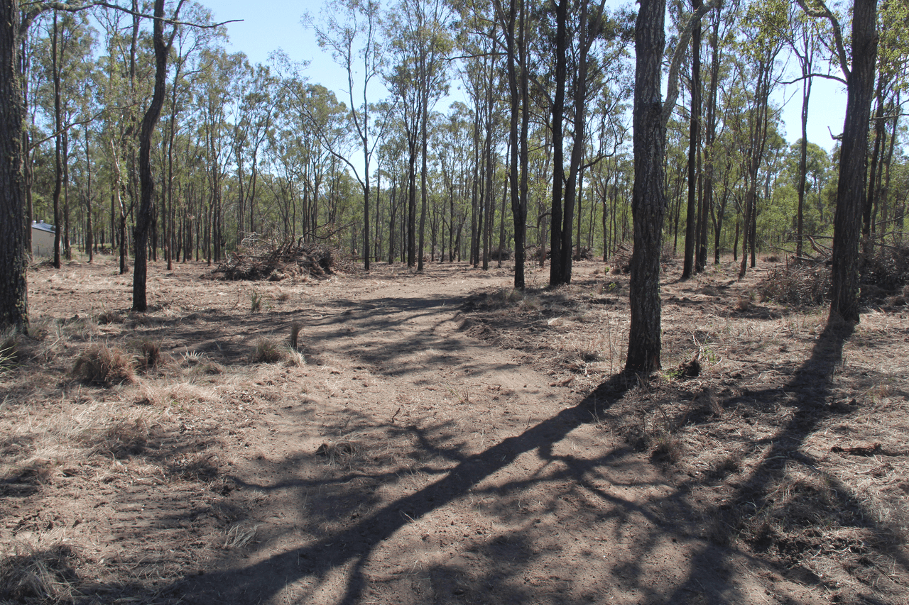 Lot 17 Thompsons Road, RUNNYMEDE, QLD 4615