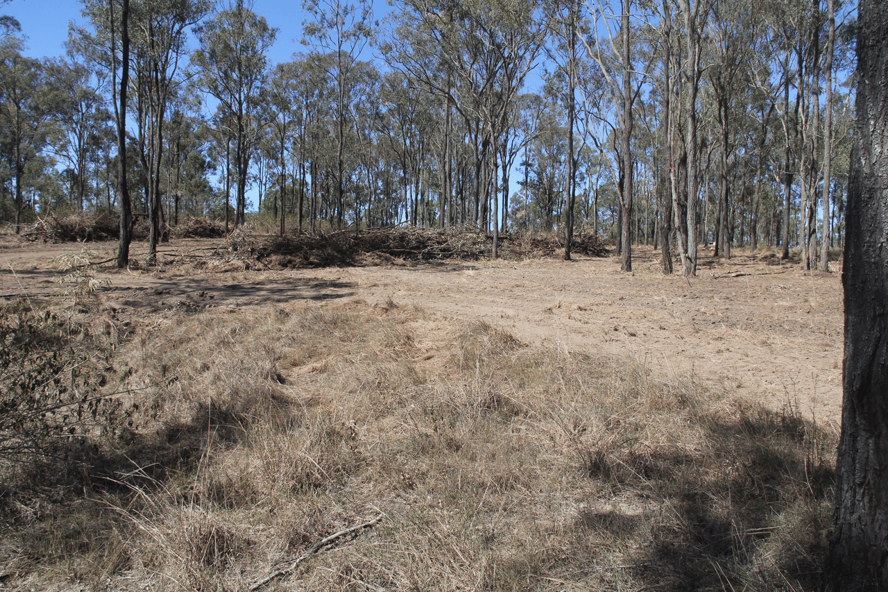 Lot 17 Thompsons Road, RUNNYMEDE, QLD 4615