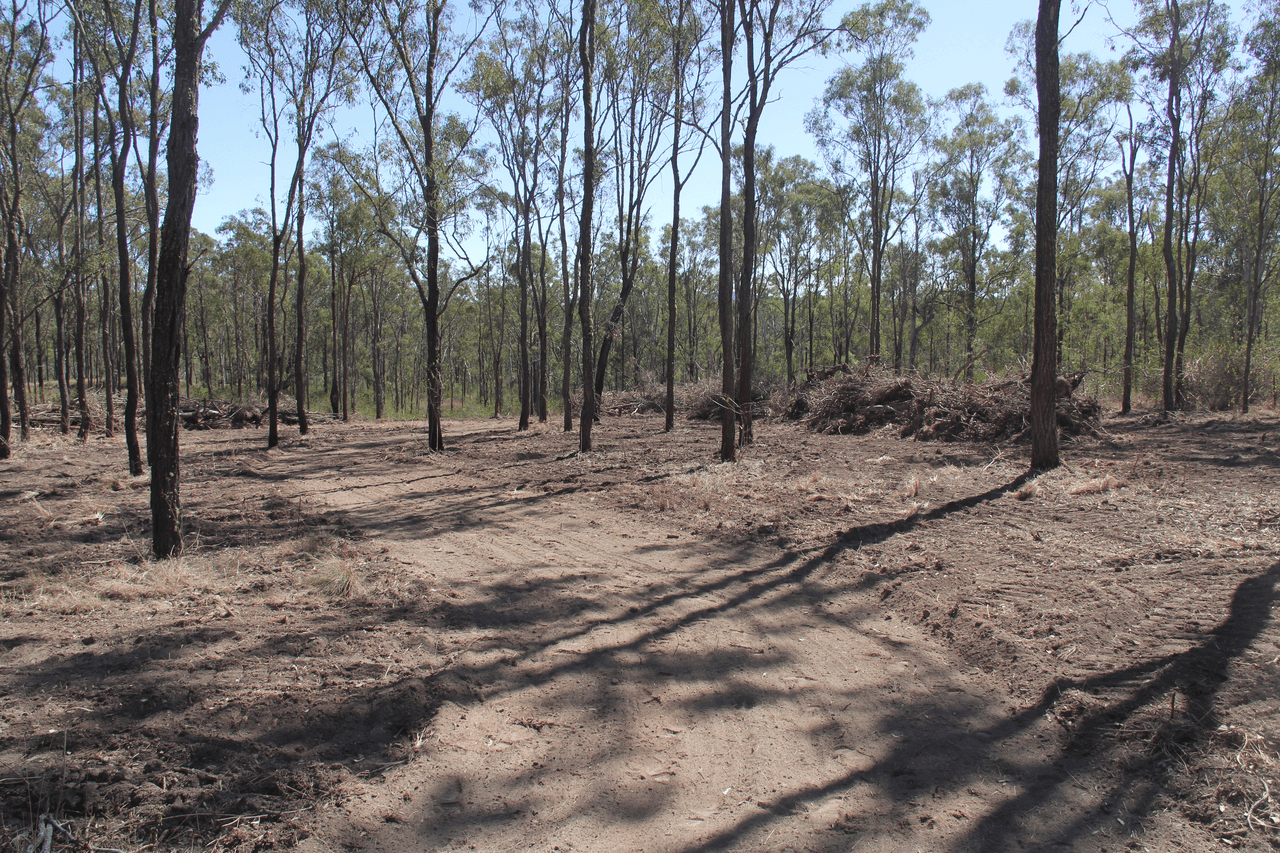 Lot 17 Thompsons Road, RUNNYMEDE, QLD 4615