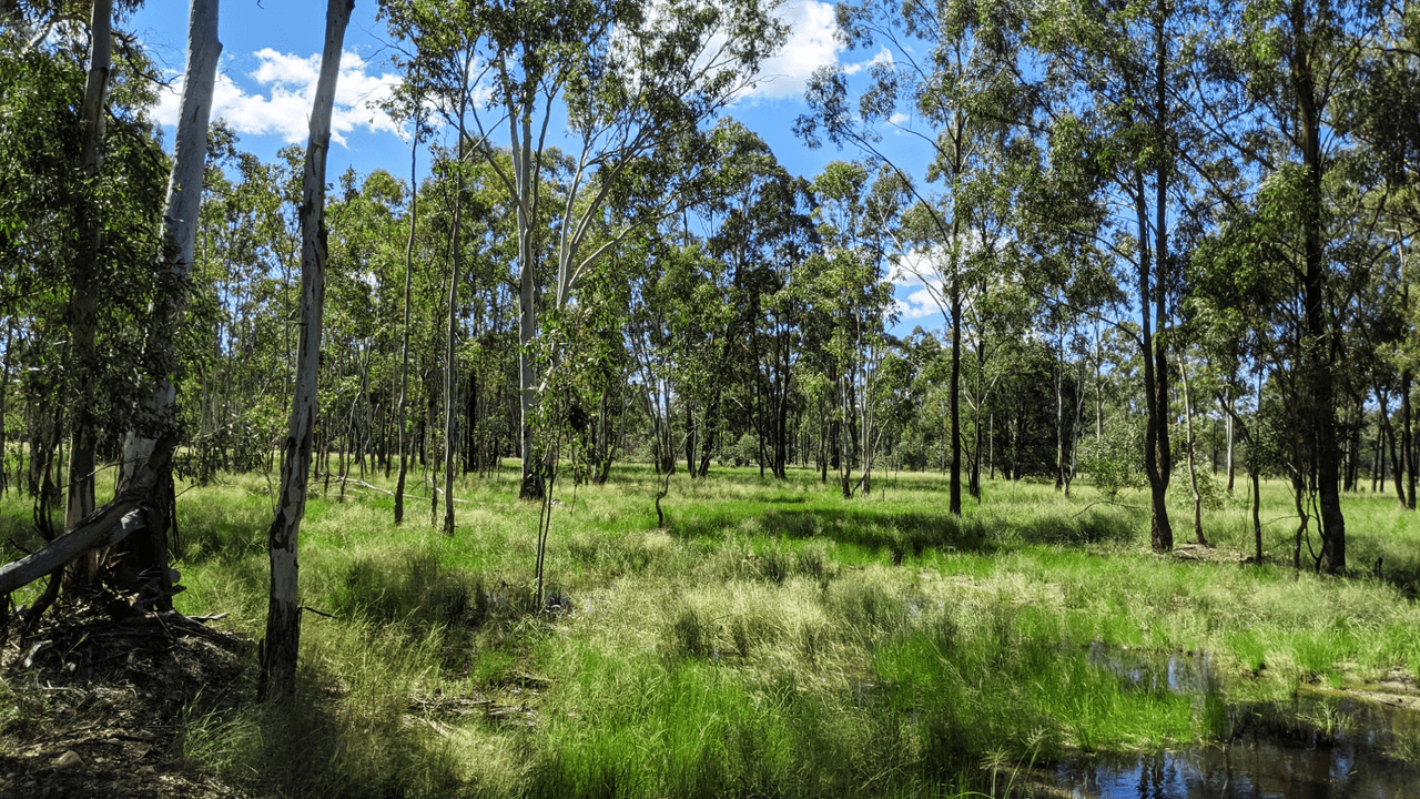 Lot 118 Upper Humbug Road, TARA, QLD 4421