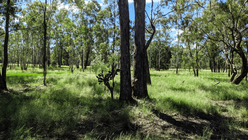 Lot 118 Upper Humbug Road, TARA, QLD 4421